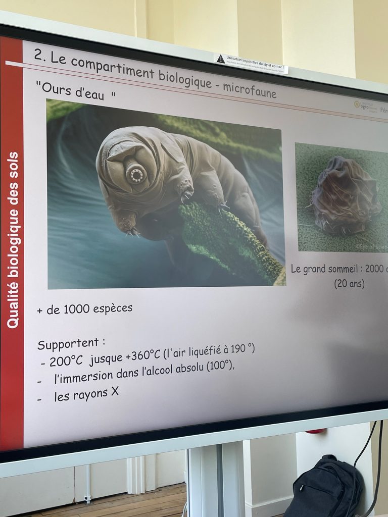 Écran montrant un tardigrade ou "Ours d'eau", illustrant les recherches de Guénola Peres sur les vers de terre lors de sa présentation à l'Institut Agro Rennes