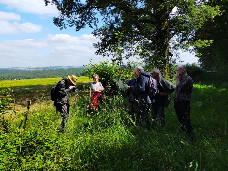 Un groupe de personnes se tenant dans un champ, admirant le paysage sur Puisaye-Forterre lors d’une randonnée.