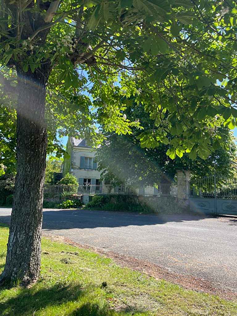 Vue du Prieuré depuis la route, derrière un arbre.